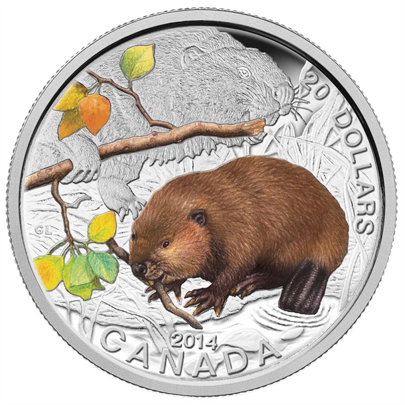 beaver coin cryptocurrency